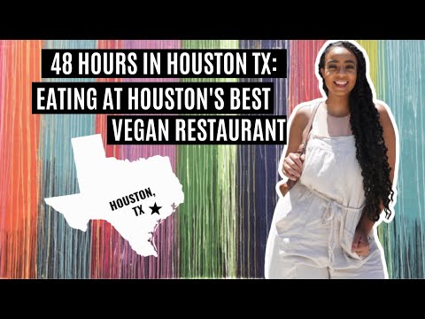 48 Hours in Houston: Finally Trying Verdine! Houston's Best Vegan Restaurant! 🌱