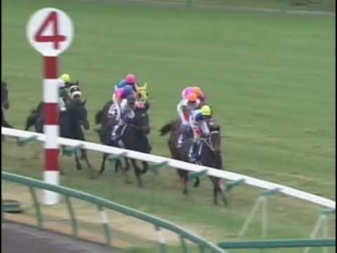 ジャングルポケット 2002年 第47回有馬記念(GI) (優勝馬：シンボリクリスエス)