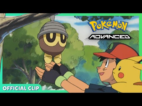 Cheering Up Seedot | Pokémon Advanced | Official Clip