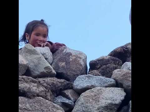 هەوار موحەمەد فەهیمی . گۆرانی ئای هەوار و هەوار هەوارتا کاما . عوسمان هەورامی شەوکەت