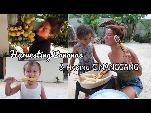 Harvesting our bananas for merienda! GINANGGANG