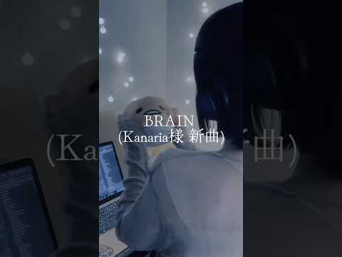 【Kanaria様の新曲神すぎた】 BRAIN / Kanaria 様 #song #cover #노래#歌ってみた #BRAIN#kanaria#shorts#short