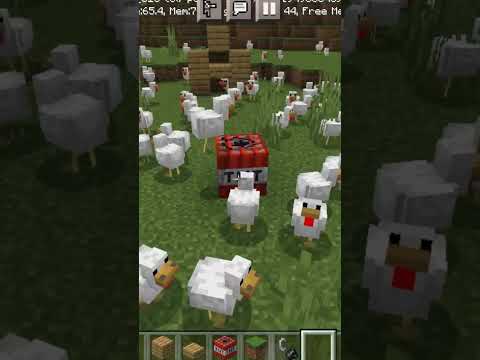 I killed chickens in Minecraft #shorts