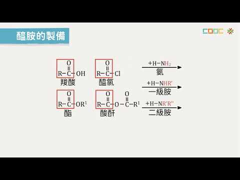 108新課綱｜高三化學｜【觀念】醯胺的介紹、命名與分類