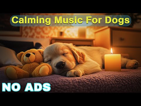 12 Hours of Dog Calming Music for Dogs 🎵 Dog Sleep Music 🐶 Separation Anxiety Relief Music ⭐No Ads