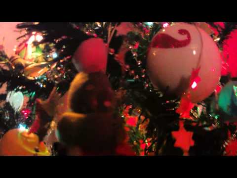 Happy Christmas - test video with new Polaroid Cube Camera