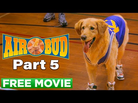 Air Bud - Chapter 05 (Ain't No Rules) | Official Movie