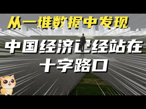 从一堆数据中，发现中国经济再次站在十字路口，下个50年如何前行？