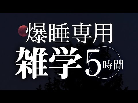 【睡眠導入】爆睡専用雑学5時間【合成音声】