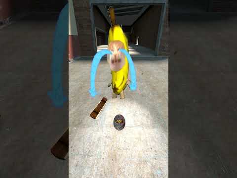 狙撃されるBanana Cat #shorts #gmod