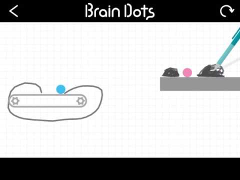 Replay from Brain Dots!