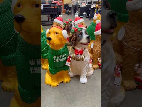 *CUTEST* HOME DEPOT CHRISTMAS DECOR! #christmas #christmasdecor #homedepot #holidaywithyoutube