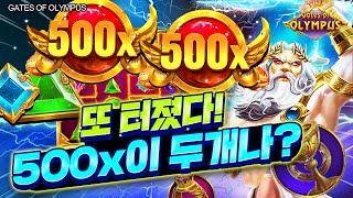 [슬롯머신] 👩🏻‍🦲 게이츠오브올림푸스 👩🏻‍🦲 GATES OF OLYMPUS : 5000배 MAXWIN !! [슬롯]