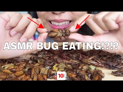 10-AHOLIC: Ten Minutes of EATING BUGS, ASMR (OMG ARE YOU SERIOUS!, YOU GOTTA SEE THIS)