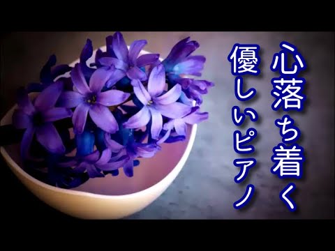 【心が落ち着く音楽】 優しく穏やかなピアノソロ曲集～癒し、心の安定、リフレッシュ