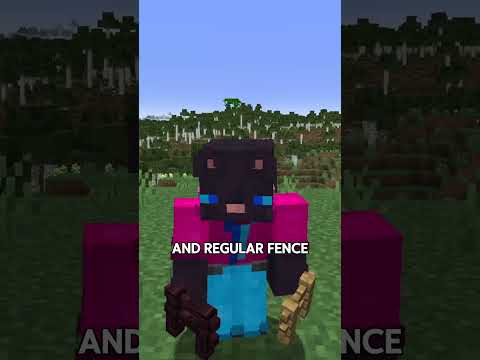 Can Pass Through Fence Gaps? ⬆️Watch full video(30 facts)#minecraft