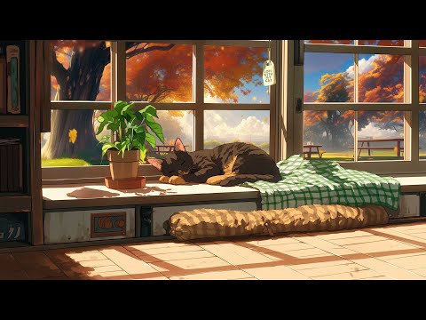 Lofi With My Cat || Cozy Embrace of Autumn 🐾🍂 [lofi focus beats / work mix]