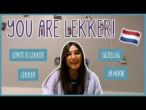 Vulsat's favorite Dutch words!