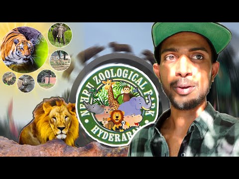 nehru zoological park wild life animals || Hyderabad dairies #7 💟