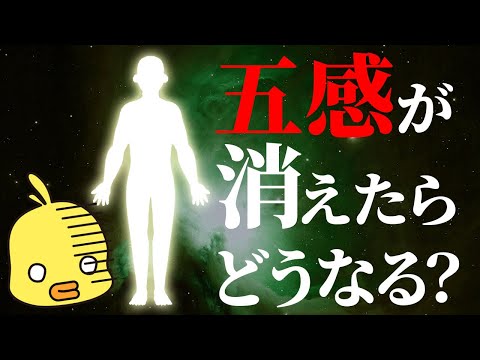 【ゆっくり解説】もし五感全てが消えたら人類はどうなるのか？後編