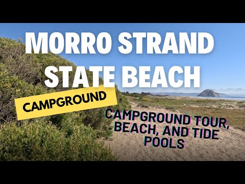 Morro Strand State Beach Campground In Morro Bay, CA | Campground Tour Beach Camping On The PCH