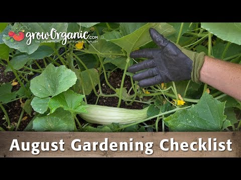 August Gardening Checklist - 20 Tips to Maintain Your Organic Garden