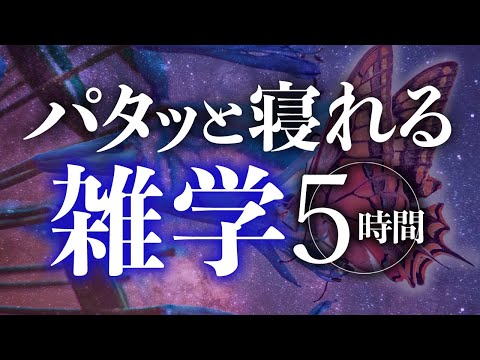 【睡眠導入】パタッと寝れる雑学5時間【合成音声】