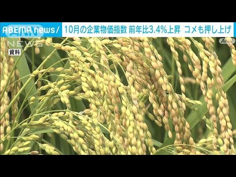 10月企業物価指数3．4％上昇　2か月連続で過去最高　コメも押し上げ(2024年11月13日)