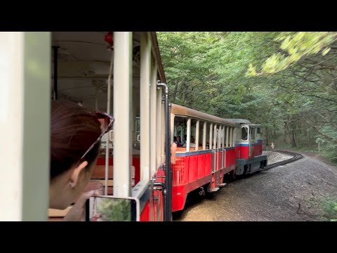 Budapest Narrow Gauge Children’s Railway | Full Journey in 4K HDR