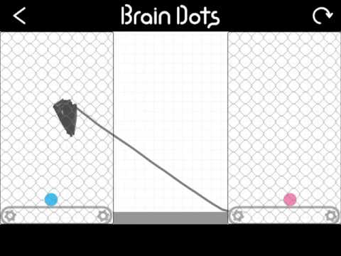 Replay from Brain Dots!