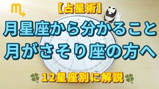 【占星術】月がさそり座にある方へ♏月星座から分かることを解説しました😃🌙