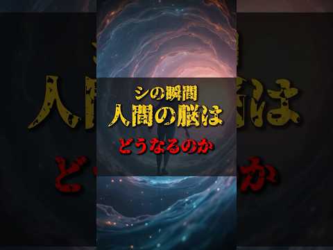 【ゆっくり解説】死の瞬間、人間の脳はどうなるのか #都市伝説 #ゆっくり解説