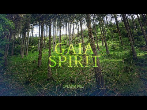 GAIA Spirit Grounding Meditation 🌲 Forest Healing | Gong, Tingsha & Nature ROOT Chakra Meditation