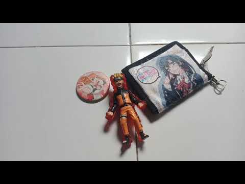 Flexing My 100.000 Anime Merch Collection