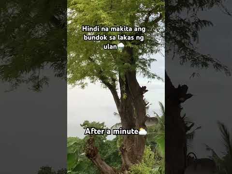 Hindi na makita ang bundok sa lakas ng ulan #shortvideo  #umuulan #probinsyafeels