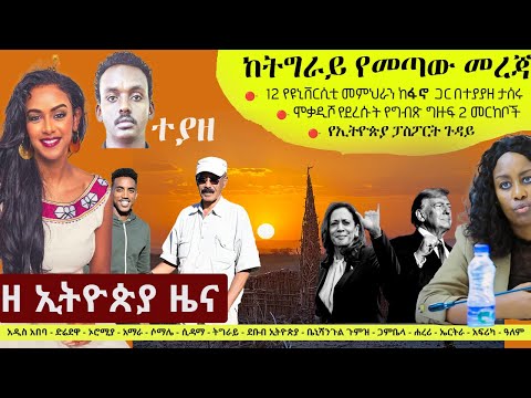 Ethiopia ዘ ኢትዮጵያ የዕለቱ ዜና | The Ethiopia Daily Ethiopia News November 4, 2024 | The Ethiopia Channel