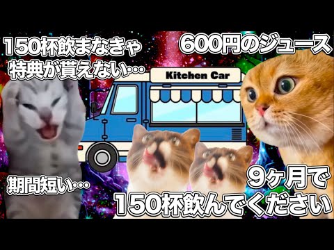 150杯のドリンクを、9ヶ月で飲まなきゃいけないラブライブのキッチンカー【猫ミーム】 #猫マニ #猫ミーム