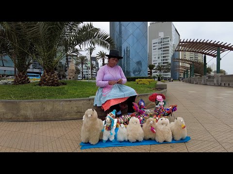 Understanding Peru's beloved alpacas