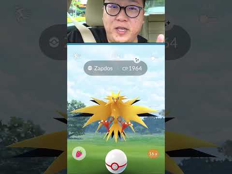 Shiny Zapdos Encounter in Pokemon GO #shorts #pokemongo