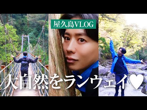 【屋久島旅行】小田切ヒロの探検シリーズ🤍 屋久杉ランドで大自然を感じながらランウェイしちゃったわよ〜🤍