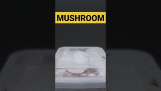 DIY GROWING MUSHROOM #diyplanting #growingfruitsincontainers #growingplants #growingvegetables