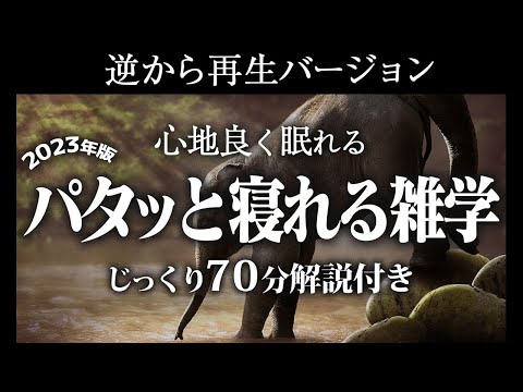 【逆から再生】パタッと寝れる雑学【リラックス】とても深い睡眠へ招待します♪