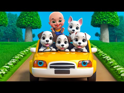 Bingo Song New Compilation | Sheep in Animals Farm Song | Nursery Rhymes and Kids Songs | Baby Bobo