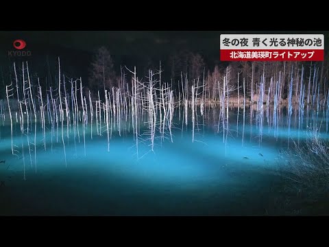 【速報】冬の夜、青く光る神秘の池   北海道美瑛町ライトアップ