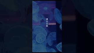 【TikTokでバズってる】花が落ちたので、／一二三 (cover) #shorts