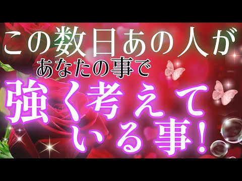 ハッキリ教えてくれました!!🩷🩵この数日あの人が貴方の事で強く考えていた事🌈片思い.複雑恋愛&障害のある状況·曖昧な関係.距離が空いた·疎遠·遠距離恋愛·職場恋愛🌈タロット&オラクル恋愛鑑定🩷🩵💜