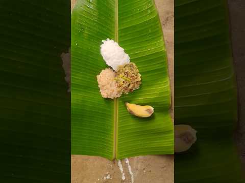 PONGAL CELEBRATION VIDEO