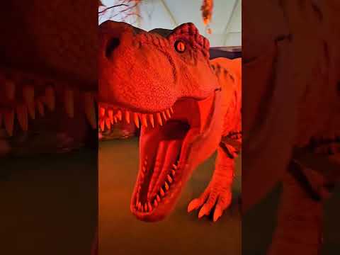 Strolling around Dino Island Expedition Pakuwon City Mall Surabaya- Gwen & Glynne's World #dinosaur