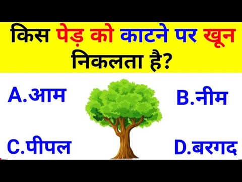 GK Question || GK In Hindi || GK Question and Answer || GK Quiz || #video #viralvideo