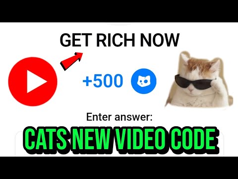 Cats Video Code 🔥 Cats Get Rich Now Code | Get Rich Now Cats Code Today | Cat Video Code Today